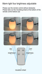 Modern Portable Solar LED Outdoor Lantern Light 1-light