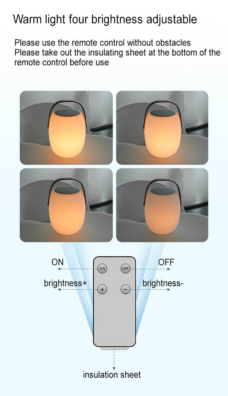 Modern Portable Solar LED Outdoor Lantern Light 1-light