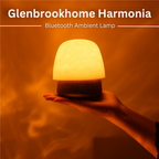 Bluetooth Speaker Lamp – LED Ambient Mood Light | Rechargeable Bedside Table Lamp