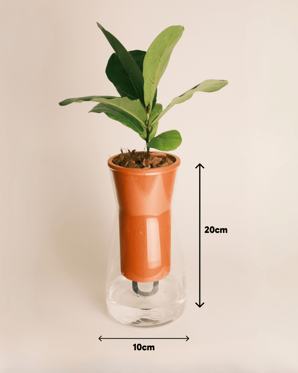 Slurpwell Self Watering Planter Modern Indoor Plant Pot Glenbrookhome