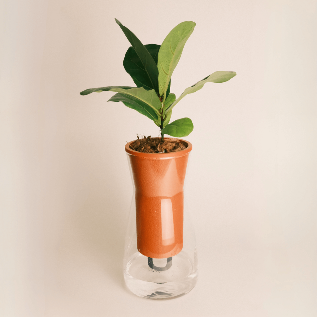 Slurpwell Self Watering Planter Modern Indoor Plant Pot Glenbrookhome