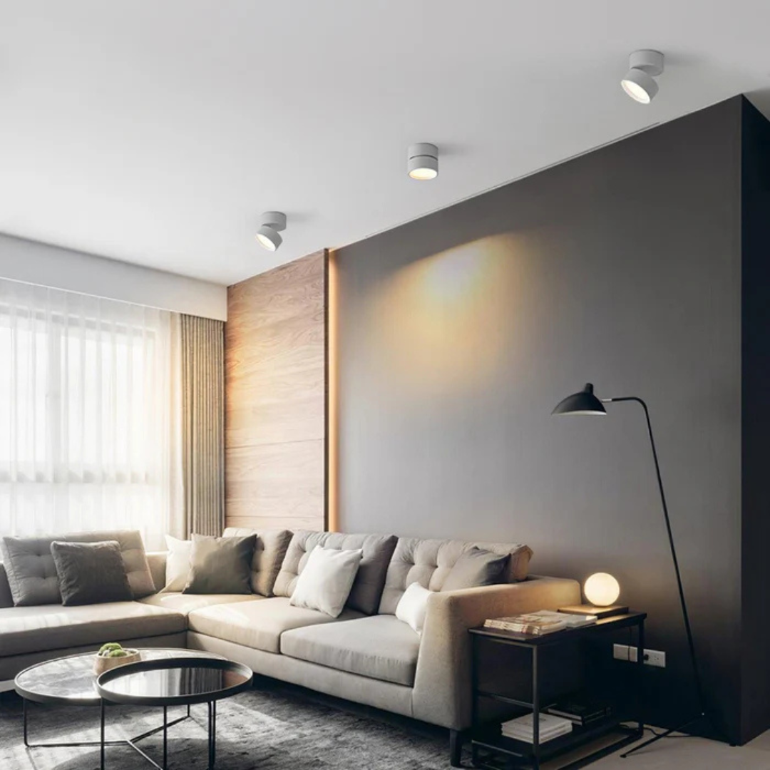 Modern Adjustable LED Ceiling Light 1-Light