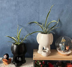 Willy Character Garden Planter Pot Outdoor Decorative Figurine Decor