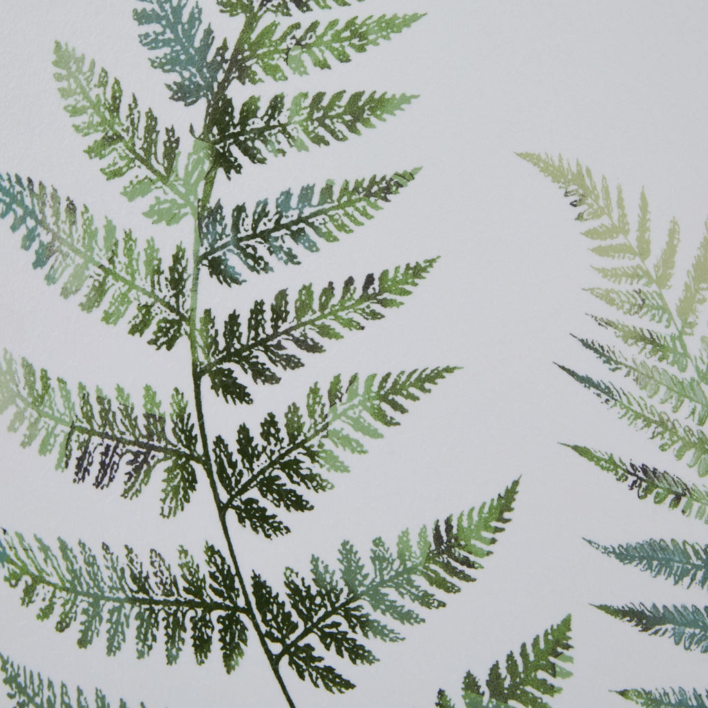Wooden Framed Wall Art Print Green Ferns Botanical Decor