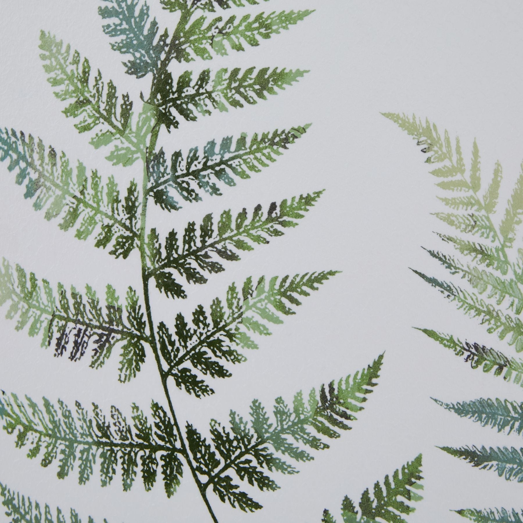 Wooden Framed Wall Art Print Green Ferns Botanical Decor