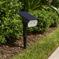 Single Solar Spotlight Outdoor Garden Ground Stake LED Path Light