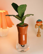 Slurpwell Self Watering Planter Modern Indoor Plant Pot Glenbrookhome