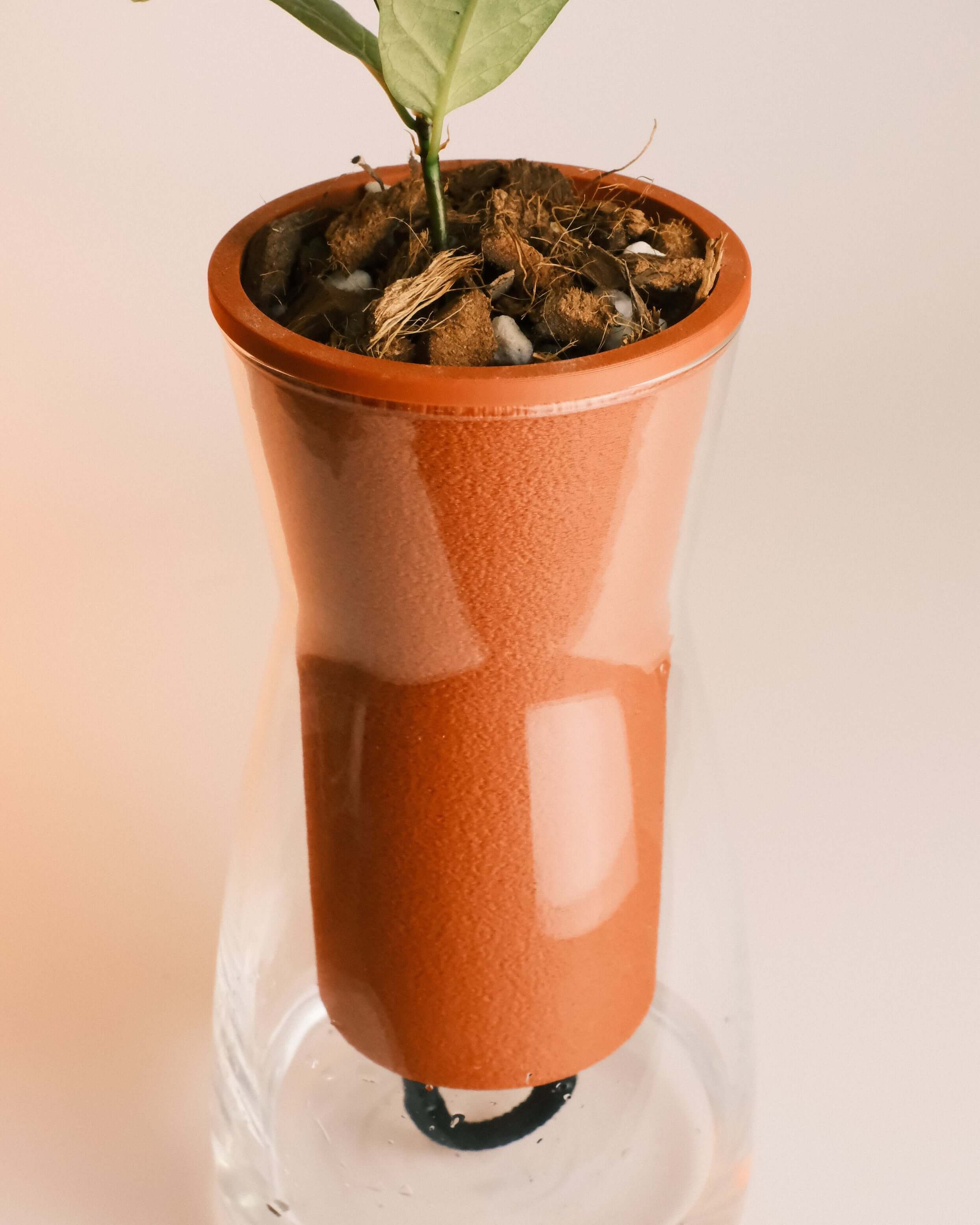 Slurpwell Self Watering Planter Modern Indoor Plant Pot Glenbrookhome