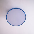 Modern Round LED Flush Mount Ceiling Light 1-Light