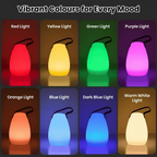 Modern Rounded LED Table Lamp | 1-Light