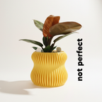 Selene Self Watering Planter Lemon Yellow Modern Indoor Plant Pot Home Decor