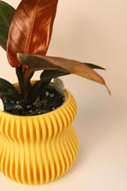 Selene Self Watering Planter Lemon Yellow Modern Indoor Plant Pot Home Decor