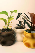 Selene Self Watering Planter Lemon Yellow Modern Indoor Plant Pot Home Decor