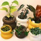 Selene Self Watering Planter Lemon Yellow Modern Indoor Plant Pot Home Decor