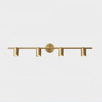 Modern Brass Double Cylinder Adjustable Wall Spotlight