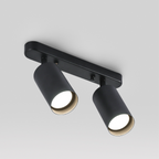 Modern Adjustable Two-Head LED Ceiling Spotlight – Directional Track Lighting Fixture