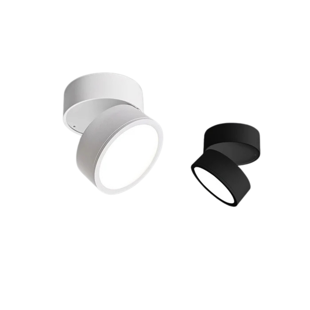Modern Adjustable LED Ceiling Light 1-Light