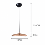 Scandinavian Round Pendant Light LED 1-Light