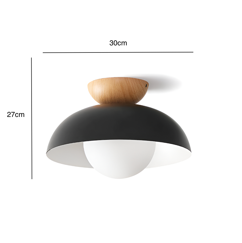 Modern Minimalist Glass Dome LED Ceiling Light 1-Light