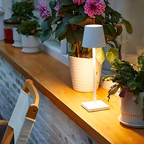 Slim LED Table Lamp with Shade – Modern Bedside Night Light for Bedroom, Living Room & Nightstand