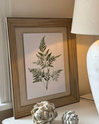 Wooden Framed Wall Art Print Green Ferns Botanical Decor