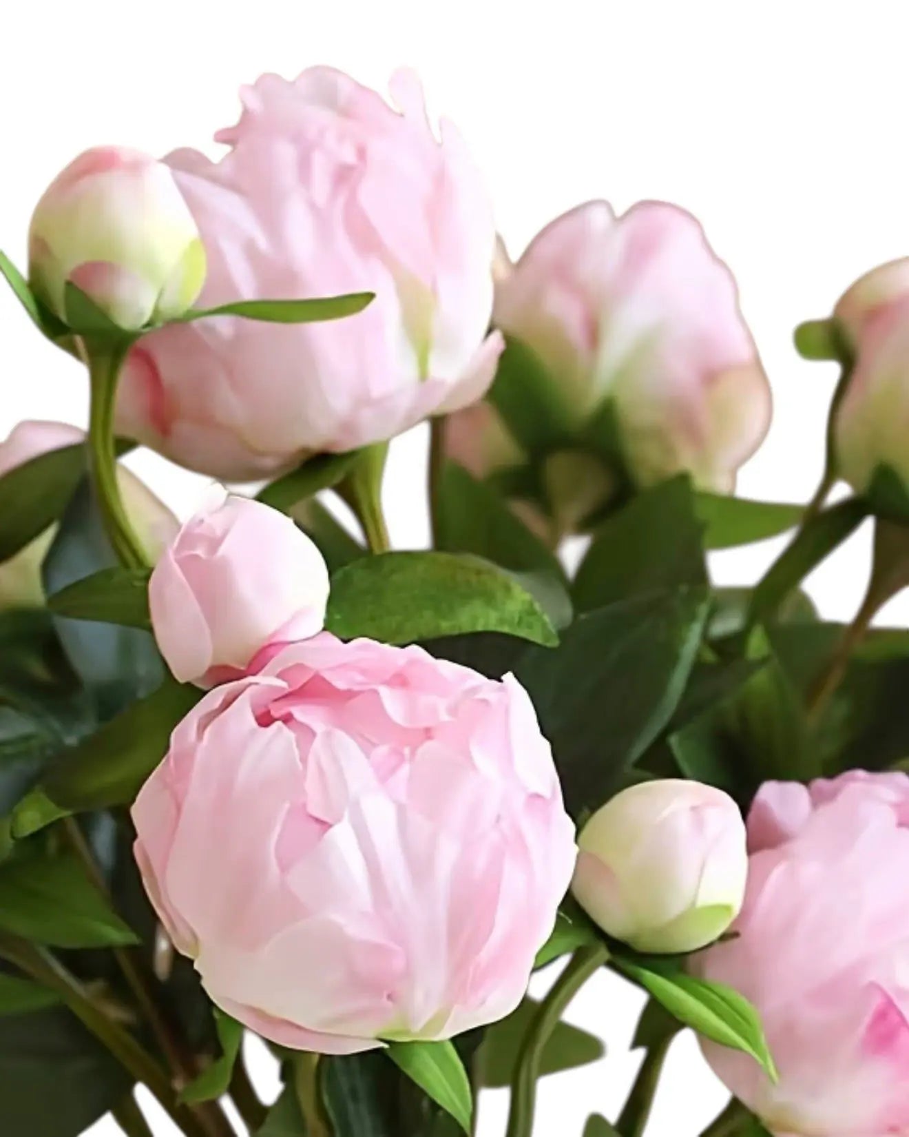 Artificial Luxury Pale Pink Double Peony Flower Stem Faux
