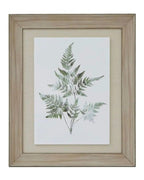 Wooden Framed Wall Art Print Green Ferns Botanical Decor