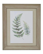 Wooden Framed Wall Art Print Green Ferns Botanical Decor