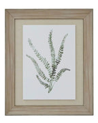 Wooden Framed Wall Art Print Green Ferns Botanical Decor