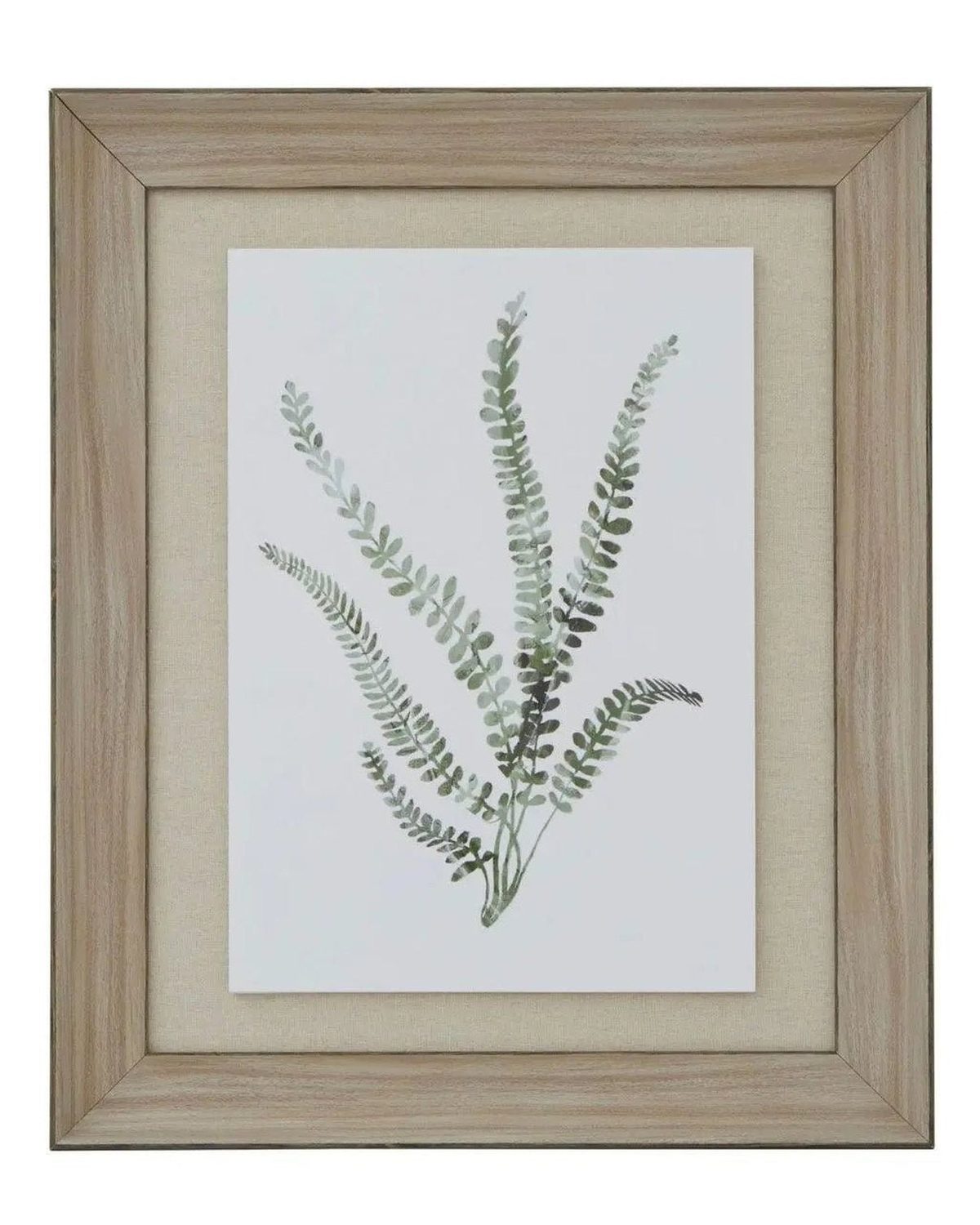 Wooden Framed Wall Art Print Green Ferns Botanical Decor