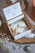 Scented Wax Melt Seashell Box Beach Cotton Home Fragrance