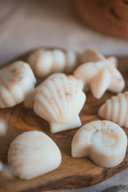 Scented Wax Melt Seashell Box Beach Cotton Home Fragrance