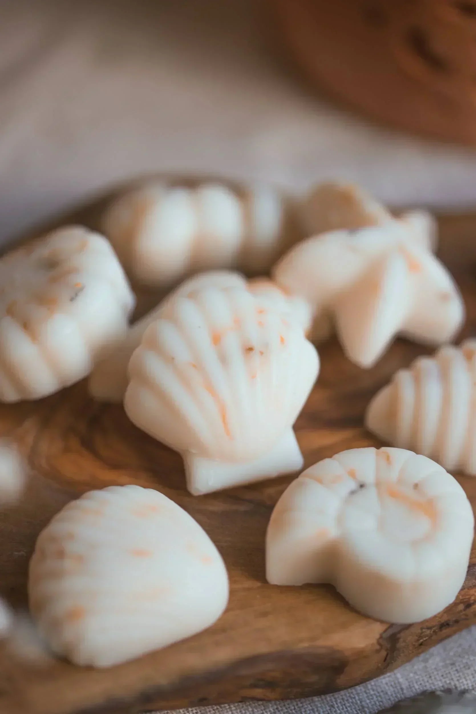 Scented Wax Melt Seashell Box Beach Cotton Home Fragrance