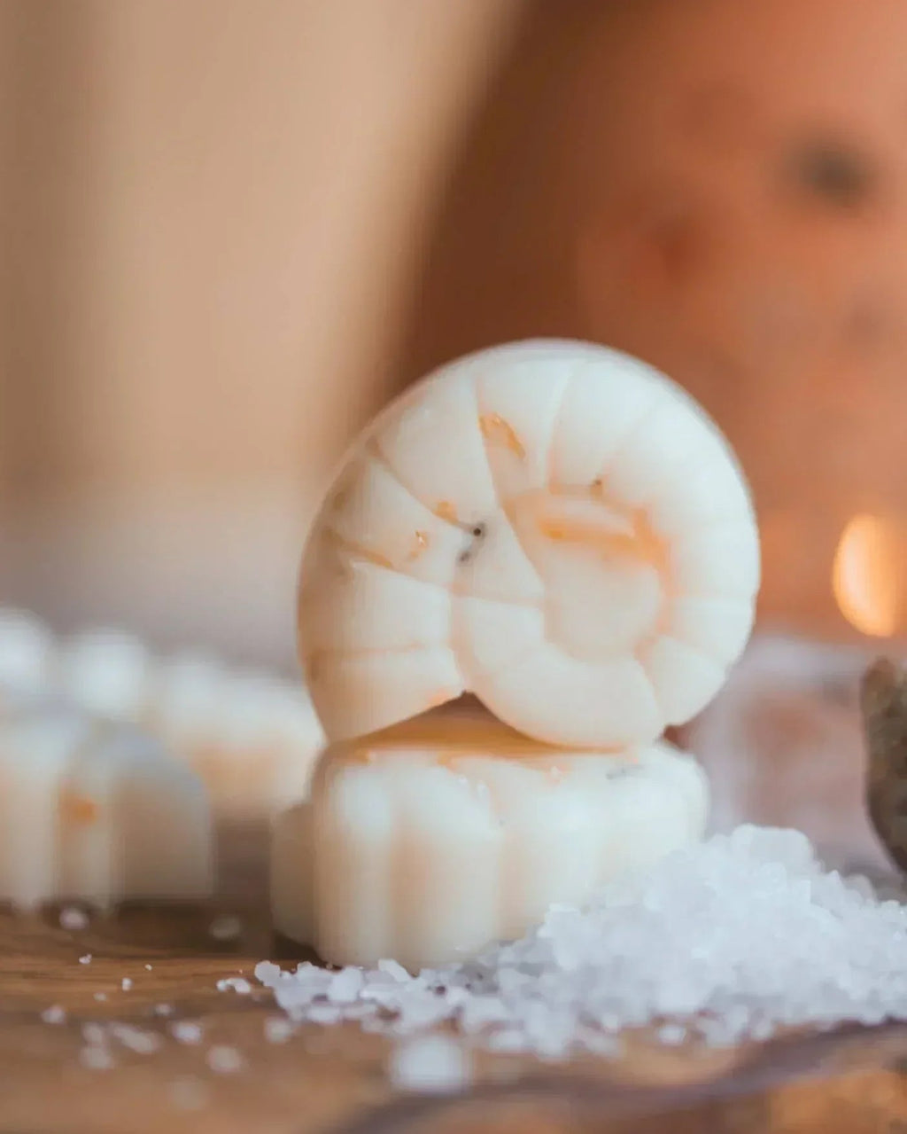 Scented Wax Melt Seashell Box Beach Cotton Home Fragrance