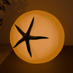 Pomodoro Table Lamp Stylish Warm Glow Indoor Desk Accent Light