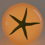 Pomodoro Table Lamp Stylish Warm Glow Indoor Desk Accent Light